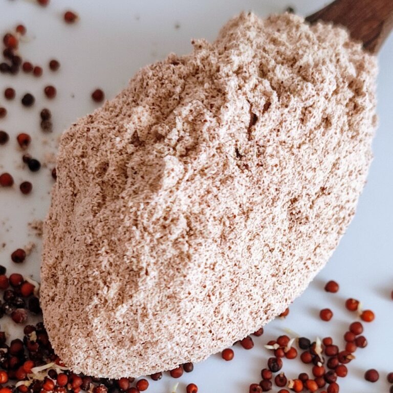 Natural Ragi NPPV Organics Sprouted Choco Ragi Malt – 500g | Healthy Organic Drink ...